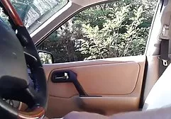 انگلیسی داستانهای تصویری ترجمه شده