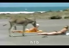 Diakopes Stin Idra (1984) مجموعه داستانهای ولما (1984) Remastered